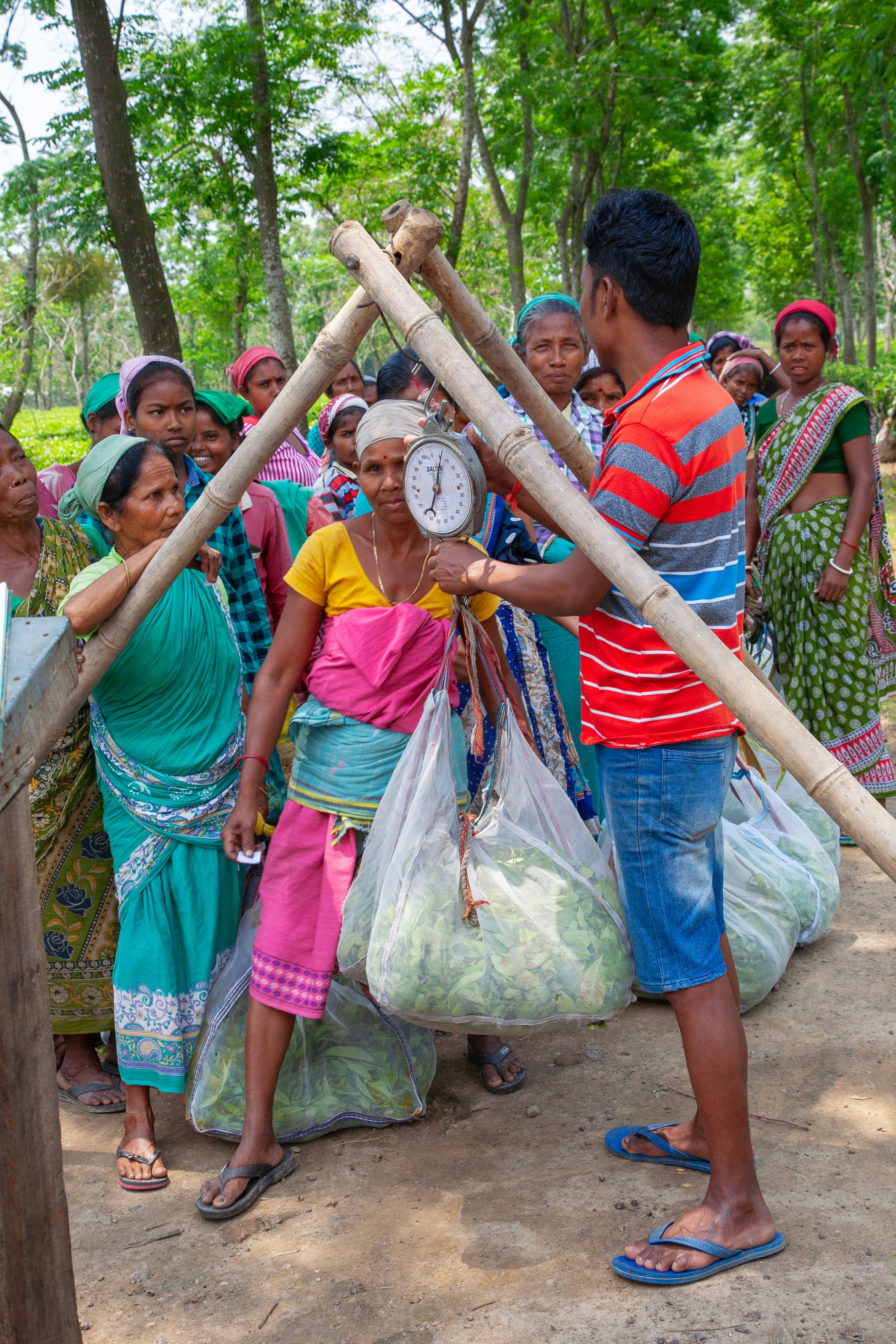 Food Donation